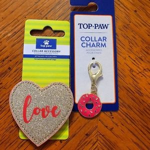 Collar accessory and charm